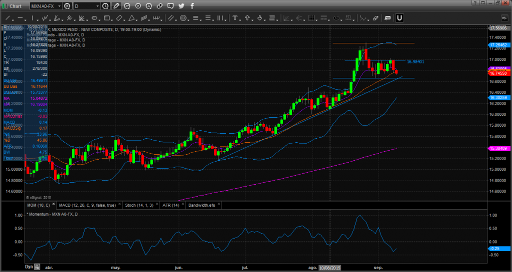 Chart_15-09-09_09-00-06