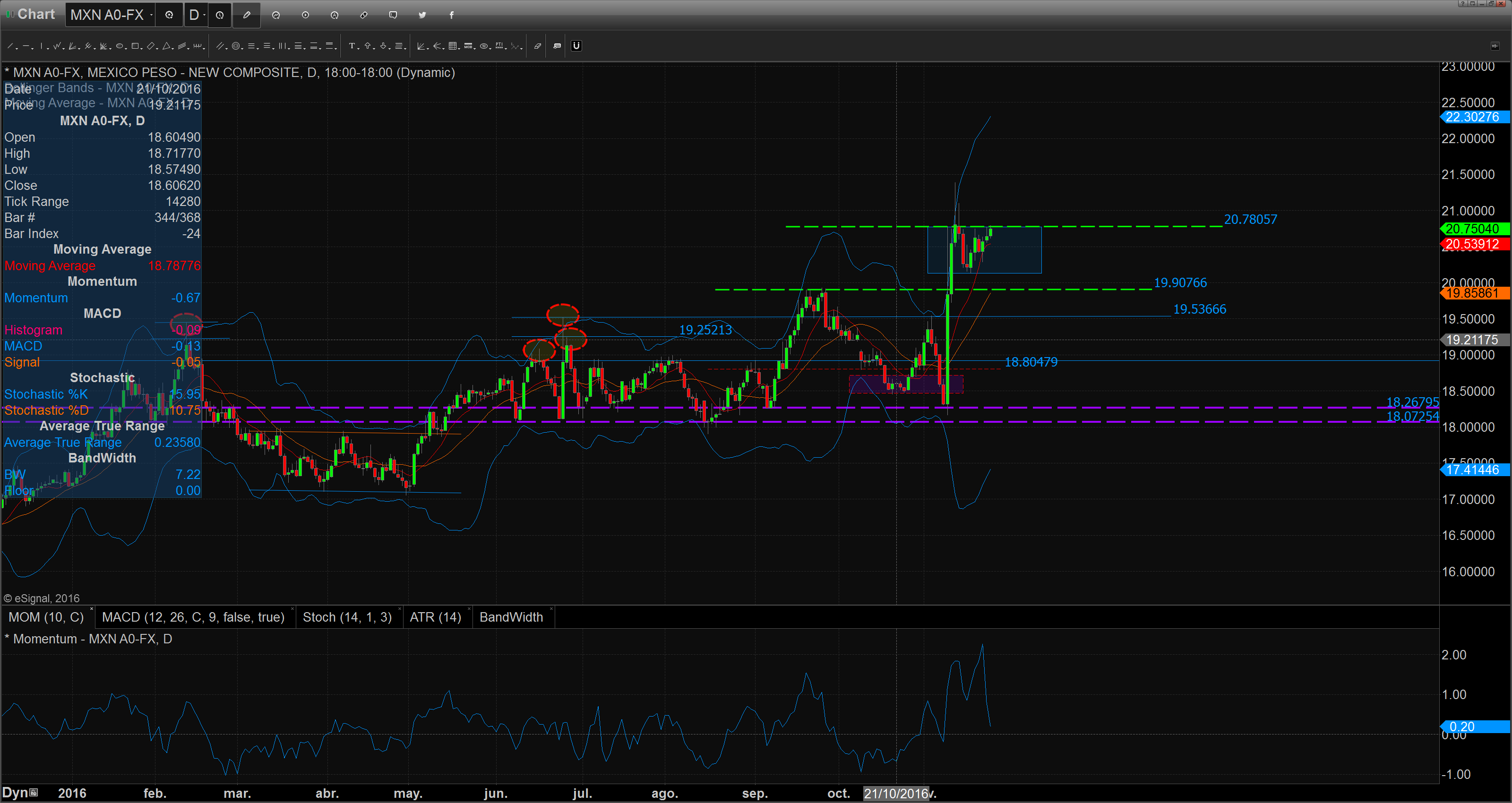 chart_16-11-24_08-58-15